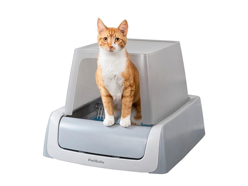 PetSafe Self-Cleaning Cat Litter Box with Hood