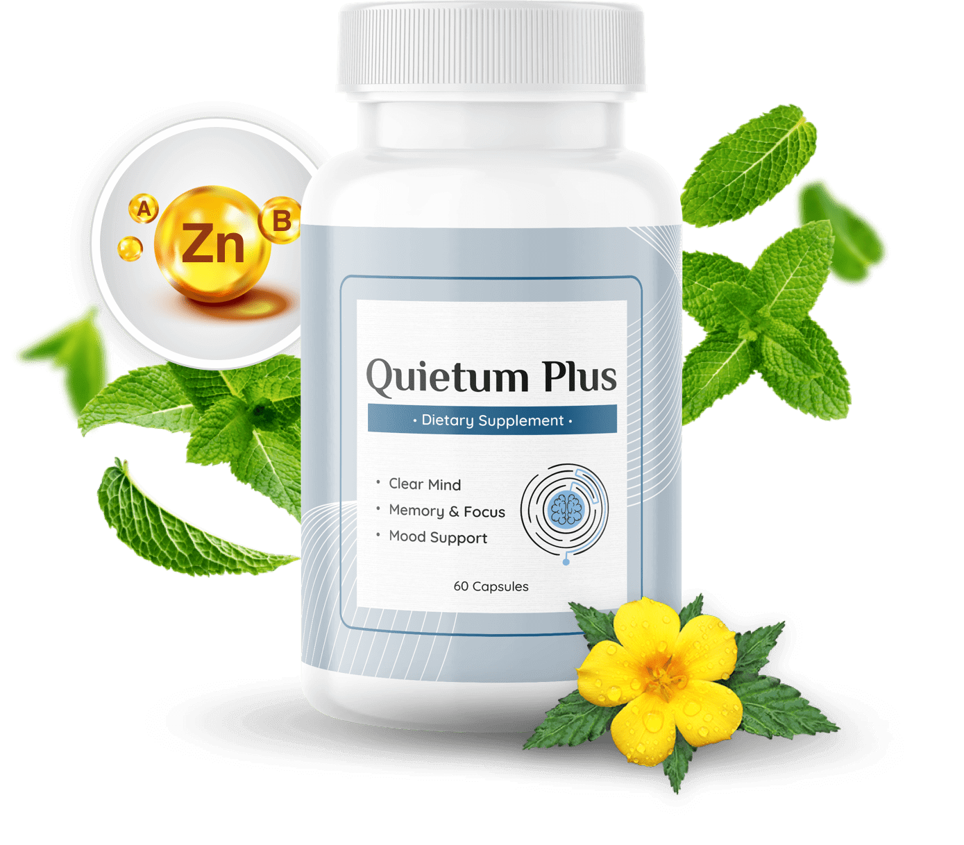 # Quietum Plus: A Comprehensive Review