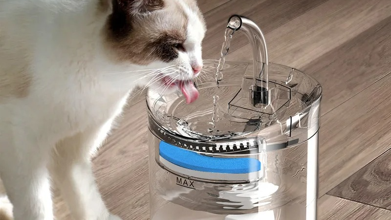 Water Dispenser Auto Drinker Filters For Cats Feeder Motion Sensor