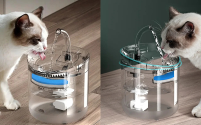 Water Dispenser Auto Drinker Filters For Cats Feeder Motion Sensor