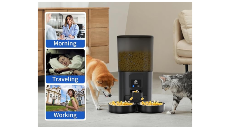 The Ultimate Guide to 7L Automatic Cat Feeders for Two Cats