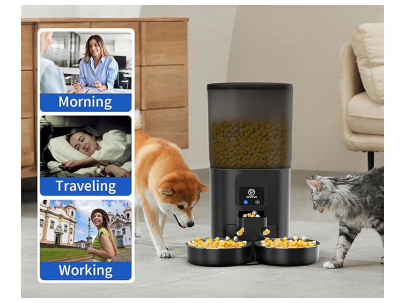 The Ultimate Guide to 7L Automatic Cat Feeders for Two Cats