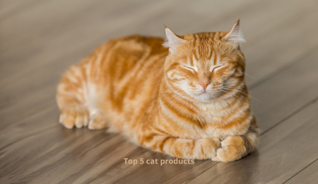 Best Cat Products on Amazon – top5